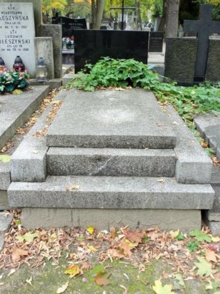 Zdjęcie grobu: Ludwik Zawadziński