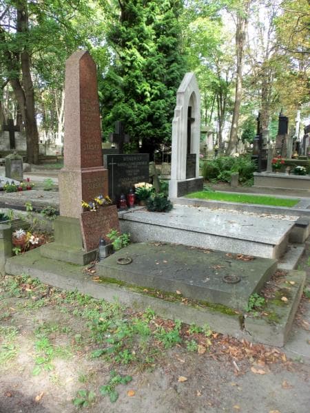 Zdjęcie grobu Tadeusz Nieczuja - Ślaski (1)