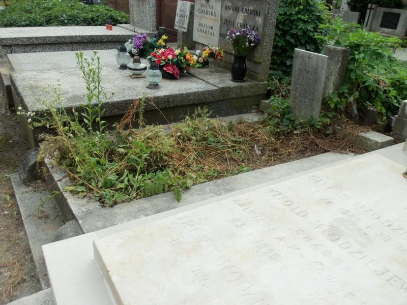 Zdjęcie grobu Kazimierz Lasocki (1)
