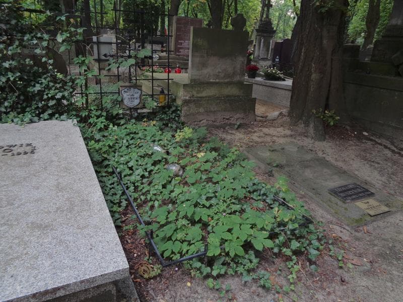 Zdjęcie grobu: Ludmiła Dembowska