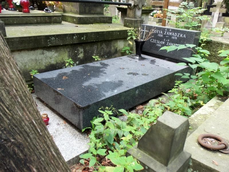 Zdjęcie grobu Zofia Zawadzka (1)