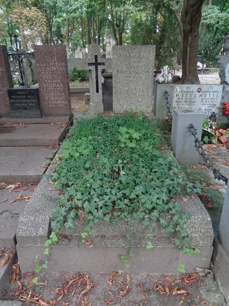 Zdjęcie grobu Stanisława Przybyszowa (1)