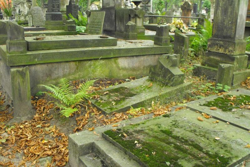 Zdjęcie grobu Emilja Drahol (1)