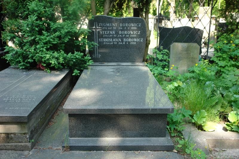 Zdjęcie grobu Zygmunt Borowicz (1)