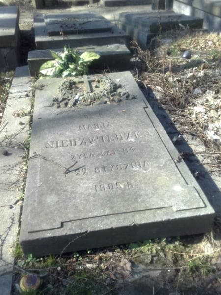 Zdjęcie grobu Marceli Frydrychewicz (1)