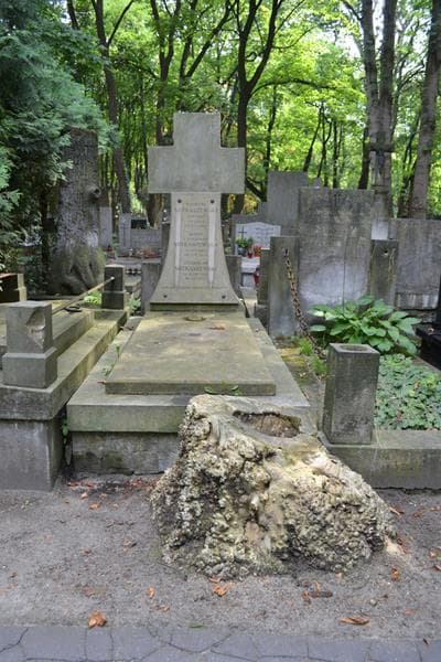 Zdjęcie grobu Stanisław Mitraszewski (1)