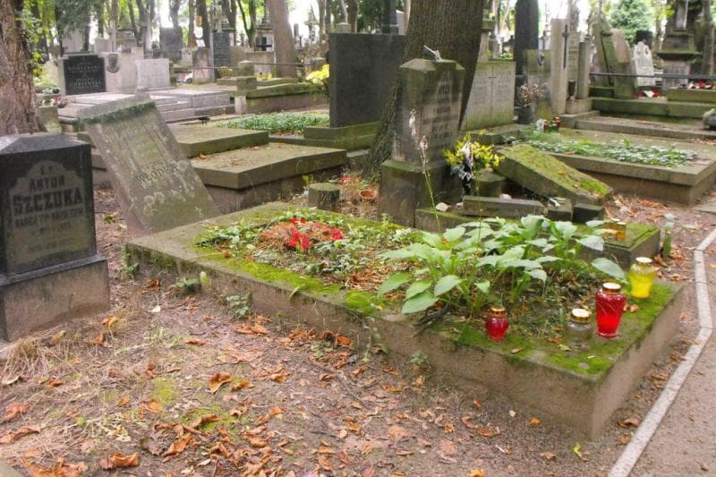 Zdjęcie grobu Ludwik Włodek (1)
