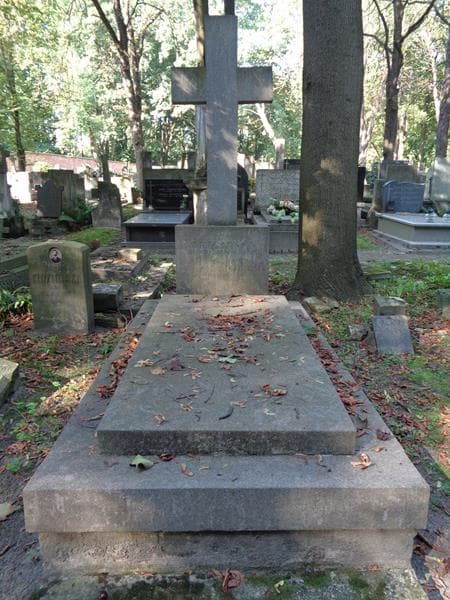 Zdjęcie grobu Zofia Aniela Trzcińska (1)