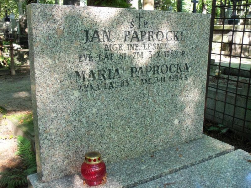 Zdjęcie grobu Michalscy (2)