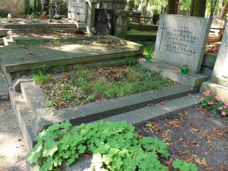 Zdjęcie grobu Wiktoria Szczepańska (1)