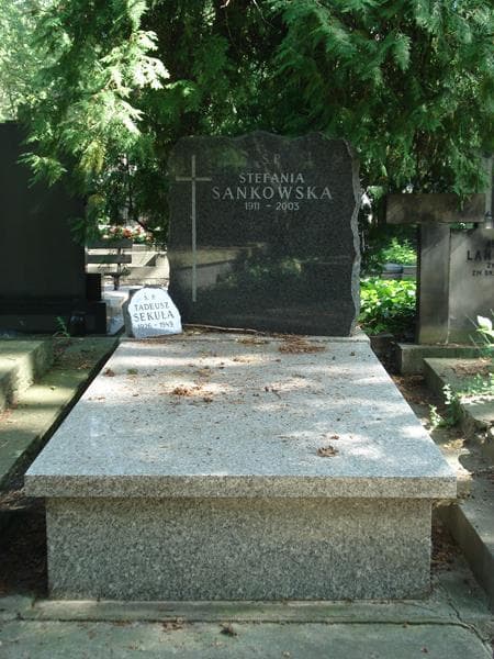 Zdjęcie grobu: Tadeusz Sekuła