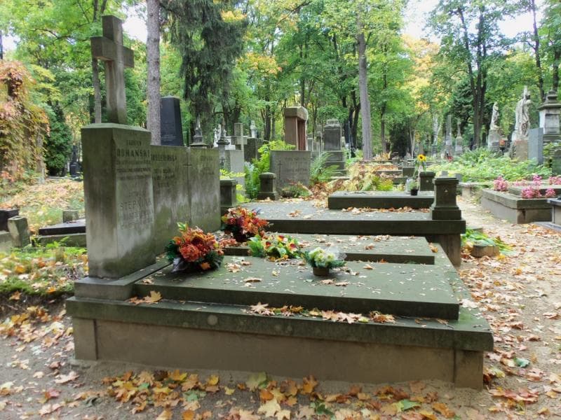 Zdjęcie grobu Natalia Dobrzelewska (1)