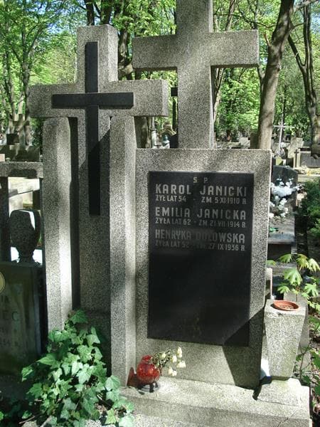 Zdjęcie grobu Henryka Dołowska (1)