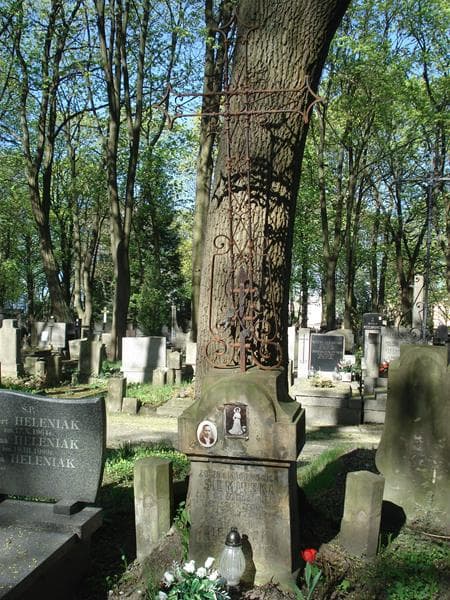 Zdjęcie grobu Stanisław Siemiński (1)