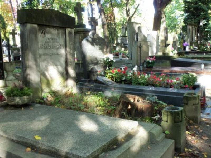 Zdjęcie grobu Marja Janina Badura-Gołucka (1)