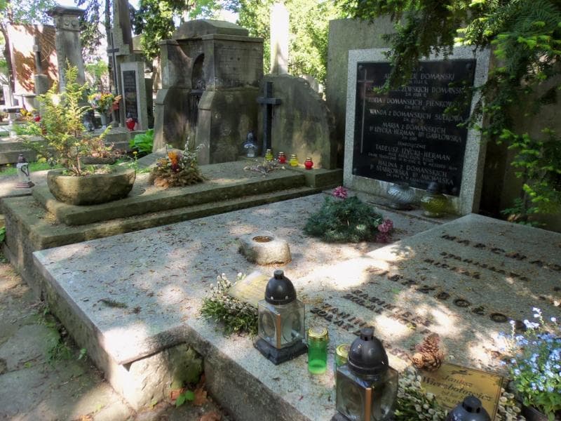 Zdjęcie grobu Zofia Domańska (1)