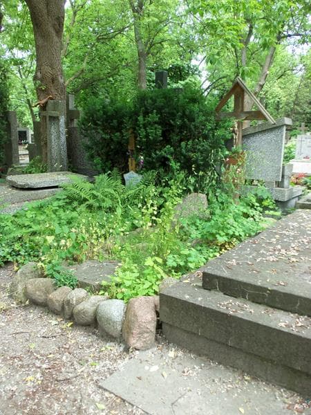 Zdjęcie grobu Artur Augustin (1)