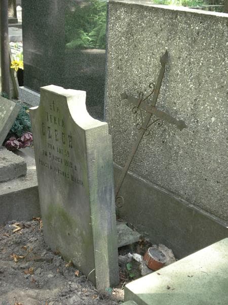 Zdjęcie grobu Tekla Czech (2)