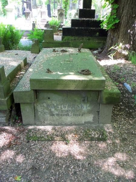 Zdjęcie grobu: Stanisław Waligórski