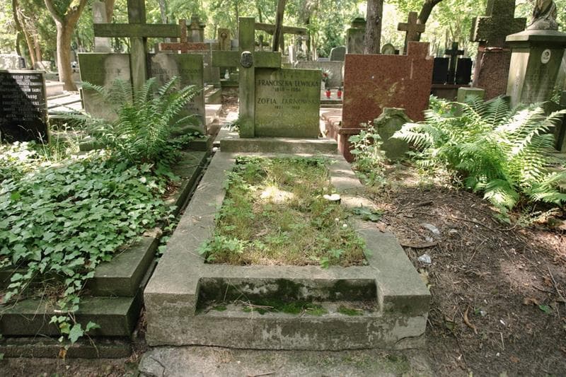 Zdjęcie grobu Franciszek Tarnowski (1)