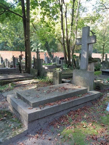 Zdjęcie grobu: Zofia Aniela Trzcińska