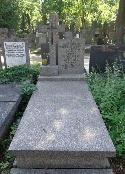Zdjęcie grobu Aleksander Wróblewski-Korwin (1)