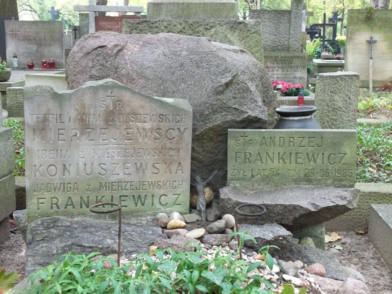 Zdjęcie grobu Jadwiga Frankiewicz (2)