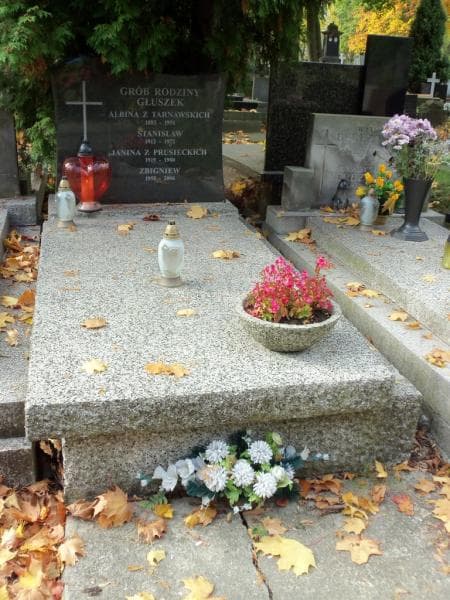 Zdjęcie grobu: Albina Głuszek