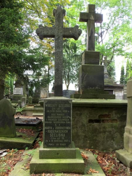 Zdjęcie grobu Wincenty Szeliski (2)