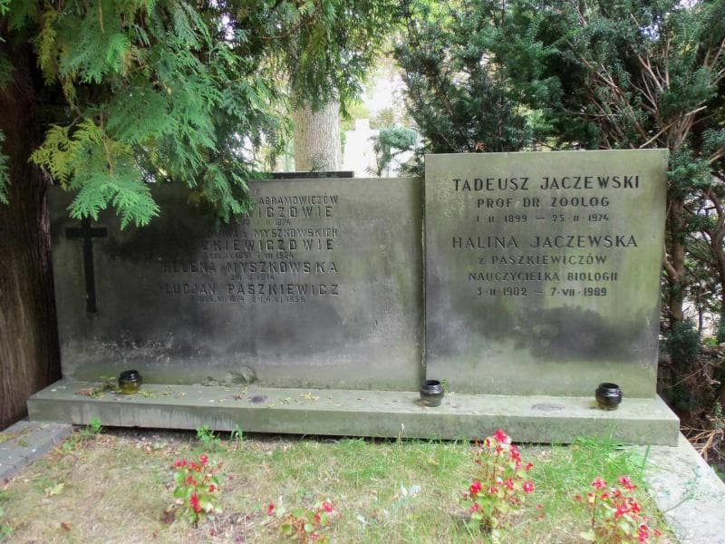 Zdjęcie grobu Józef Paszkiewicz (2)
