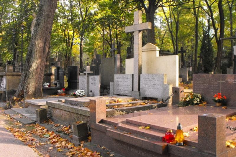 Zdjęcie grobu Józef Piechura (1)