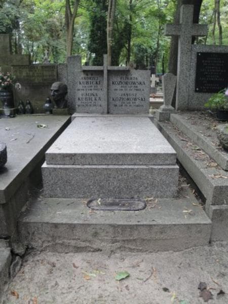 Zdjęcie grobu: Andrzej Kubicki