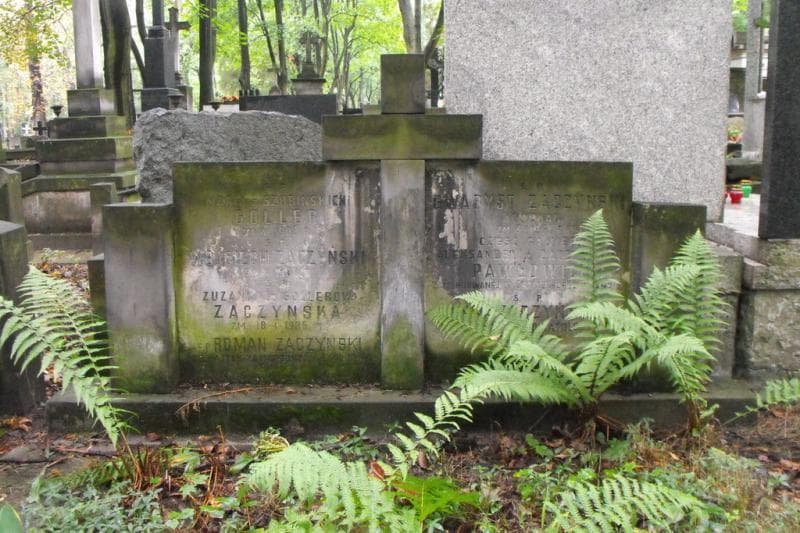 Zdjęcie grobu Aleksandra Pawłowicz (2)