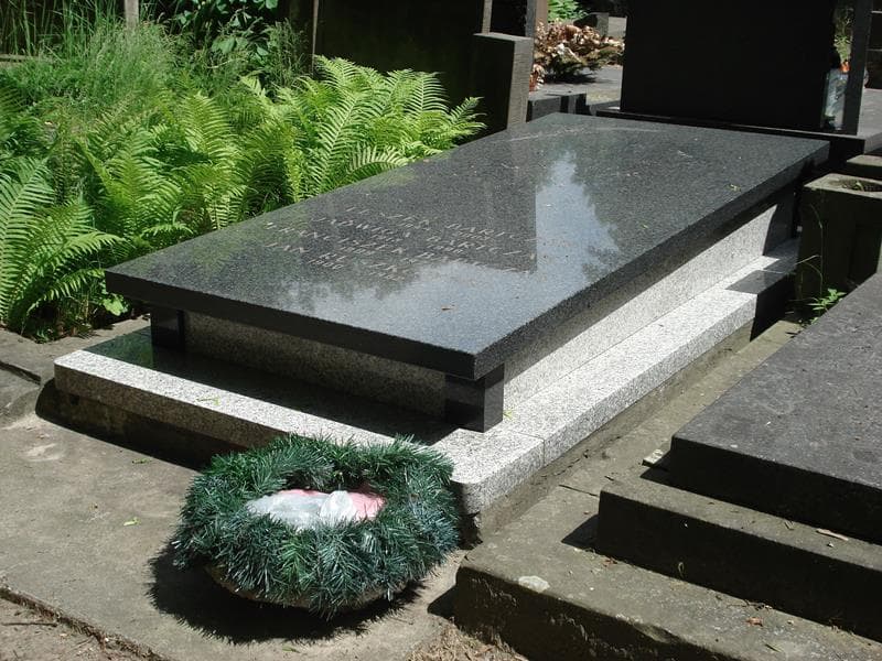 Zdjęcie grobu Franciszek Bartczak (1)