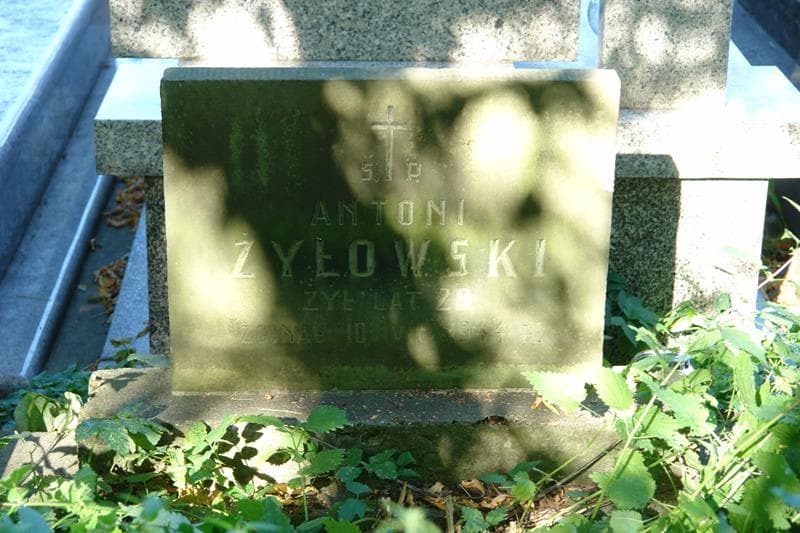 Zdjęcie grobu Antoni Żyłowski (2)