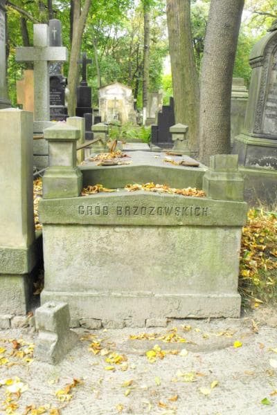 Zdjęcie grobu: Brzozowscy