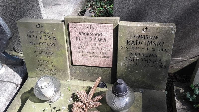 Zdjęcie grobu Ludwik Mierzwa (1)