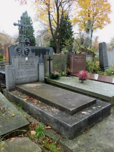 Zdjęcie grobu Władysław Domański (1)