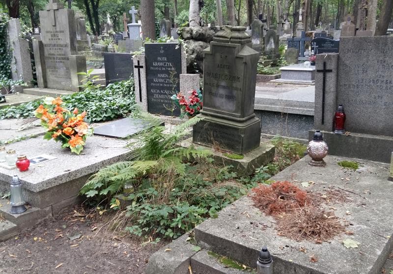 Zdjęcie grobu: Agata Wasilczuk