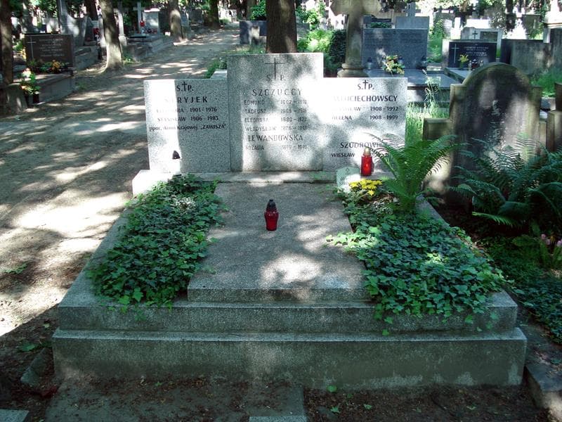 Zdjęcie grobu: Eleonora Stryjek