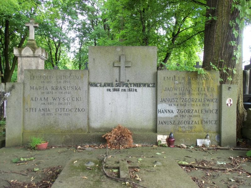 Zdjęcie grobu Adam Wysocki (2)