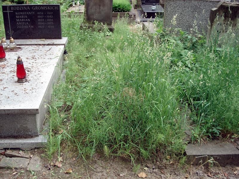 Zdjęcie grobu: Pole Grobowe