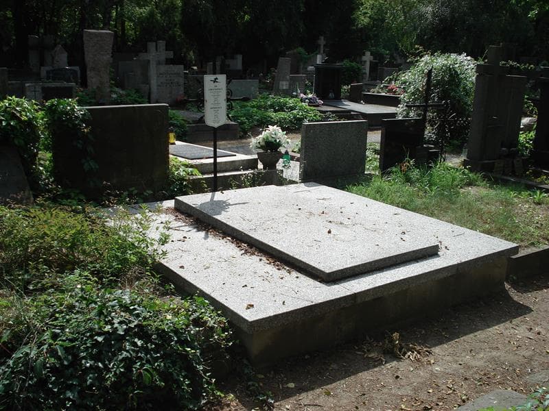 Zdjęcie grobu Łucja Michalina Chlewińska (1)
