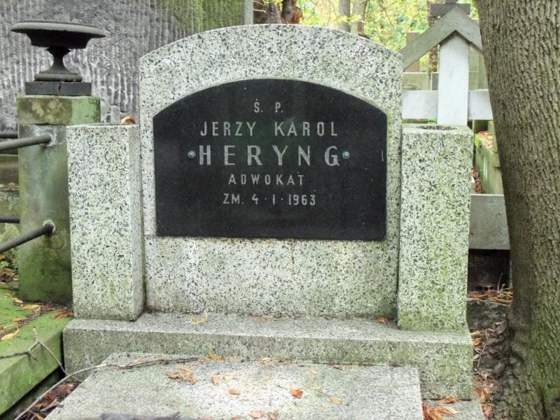 Zdjęcie grobu Janina Heryng (2)