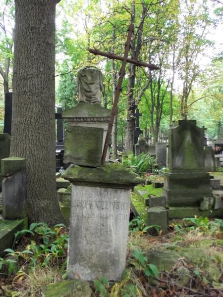 Zdjęcie grobu Zygmunt Nałęcz Gostomski (1)
