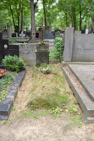 Zdjęcie grobu Józefa Marciniak (1)
