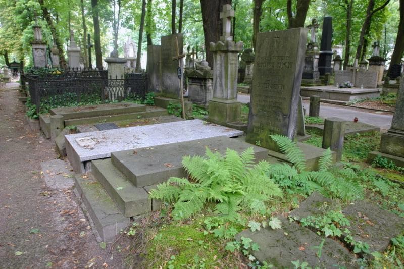 Zdjęcie grobu: Rudolf Froniek