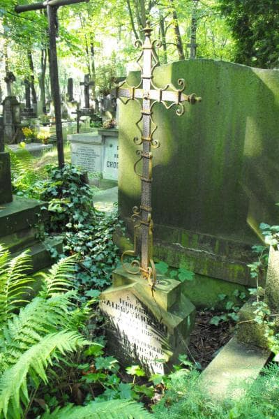 Zdjęcie grobu Apolonja Jałbrzykowska (1)