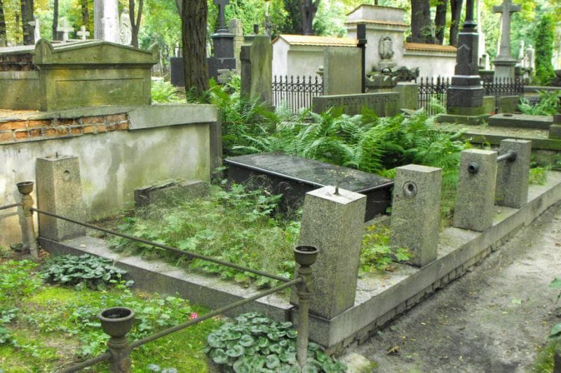 Zdjęcie grobu Stanisław Borucki (1)