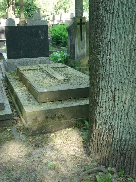 Zdjęcie grobu Józefa Błaszkiewicz (2)